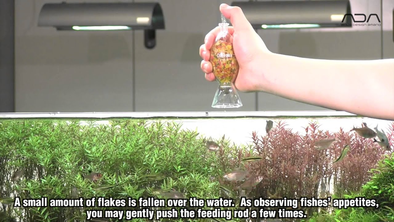 ADA view] フードグラスの使い方(english sub) - YouTube