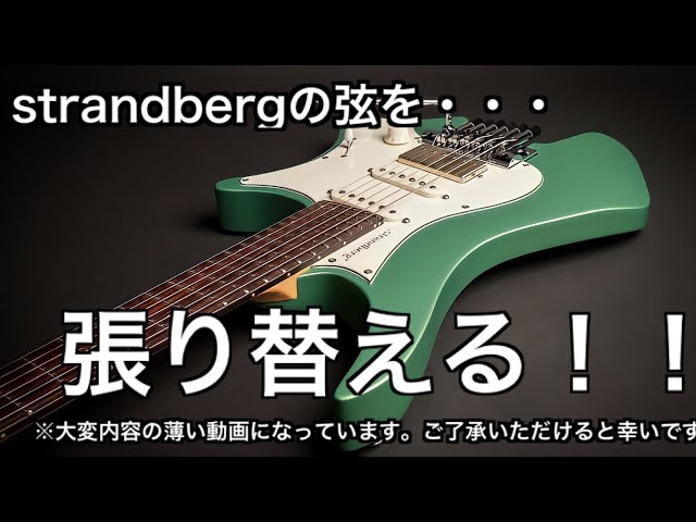 8弦 Ibanez RGIR38BFE strandberg PUに変更 8弦 Ibanez RGIR38BFE
