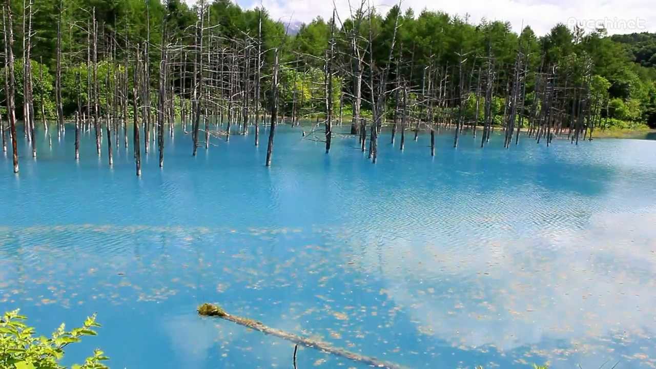 maxresdefault.jpg?sqp=-