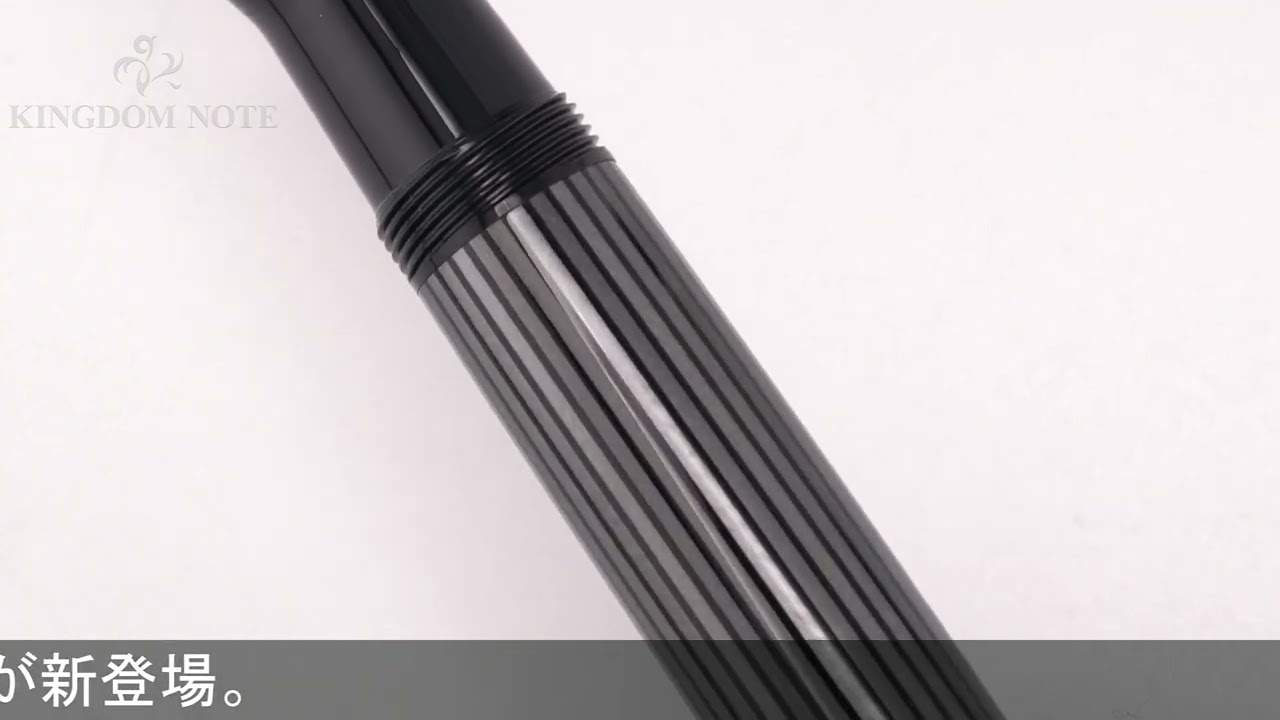 Pelikan ペリカン 万年筆 スーベレーン M805 ブラックストライプ EF