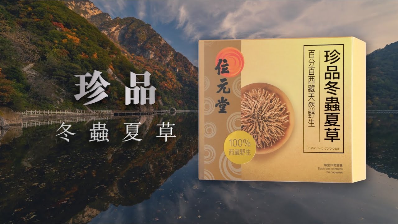 珍品！ 冬虫夏草 セミ 昆虫標本 漢方 鉱物 隕石 呪物 根付 出土 人体