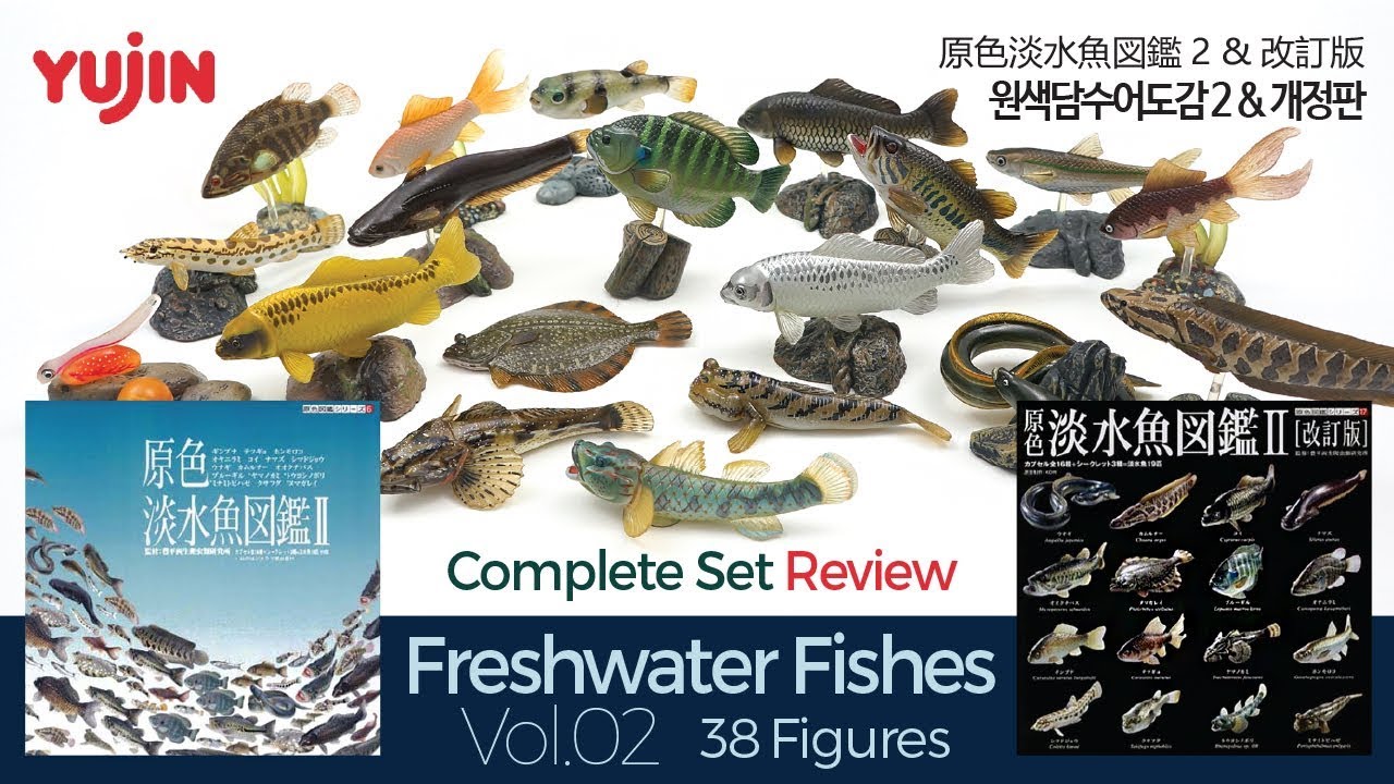 38 Various Freshwater Fishes / 原色淡水魚図鑑 II & 改訂版 / 유진