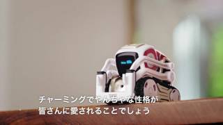本体2台【極美品】COZMO (コズモ) AIロボット クリスマス 本体2台【極
