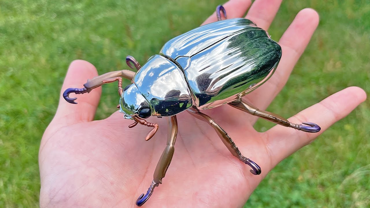 クルサルギレアプラチナコガネ！標本！084コスタリカ産 クリサルギレア