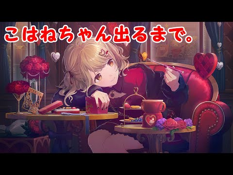 プロセカ 小豆沢こはね バレンタイン 特訓後 色紙 43A 11枚まとめ売り