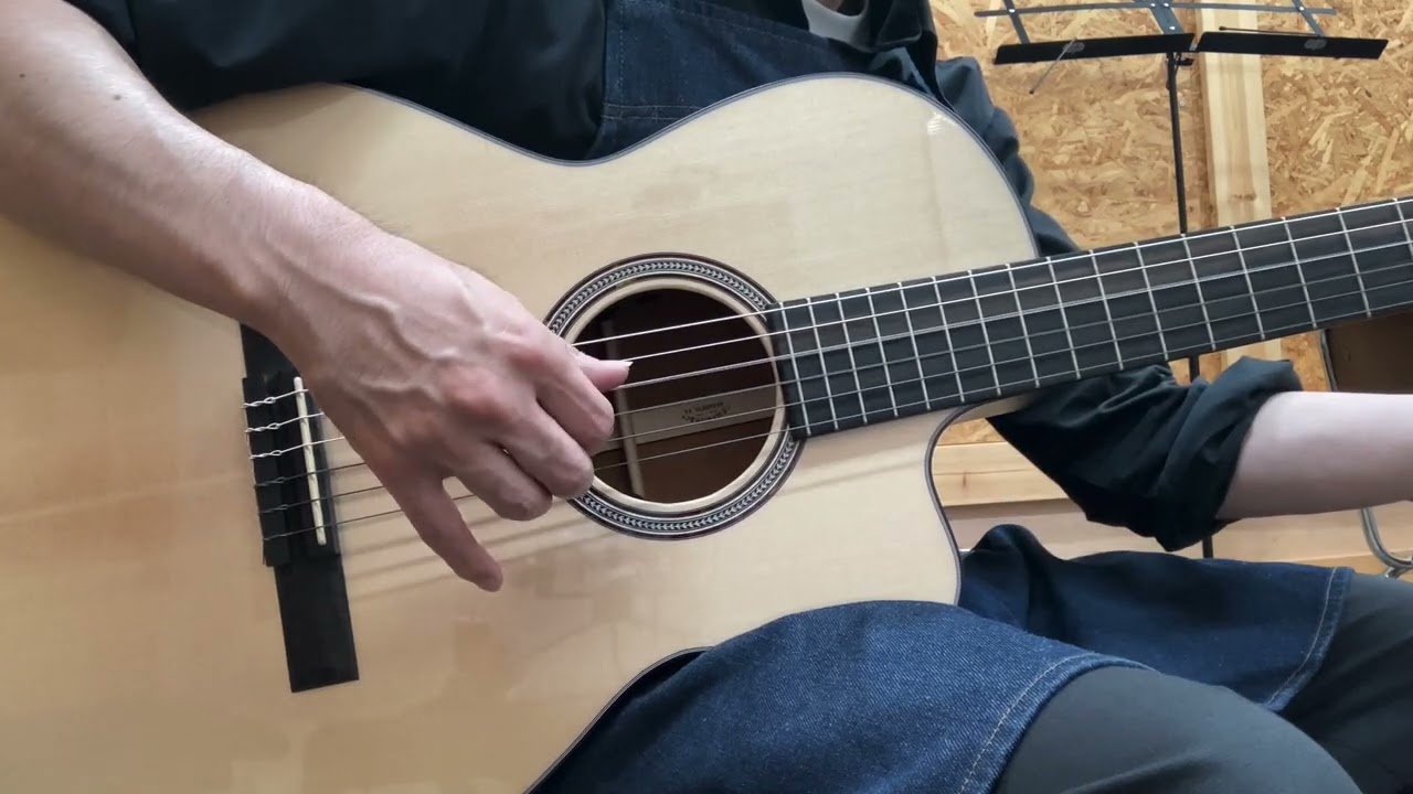 Martin 000C12-16E Nylon ＃2859068 - YouTube