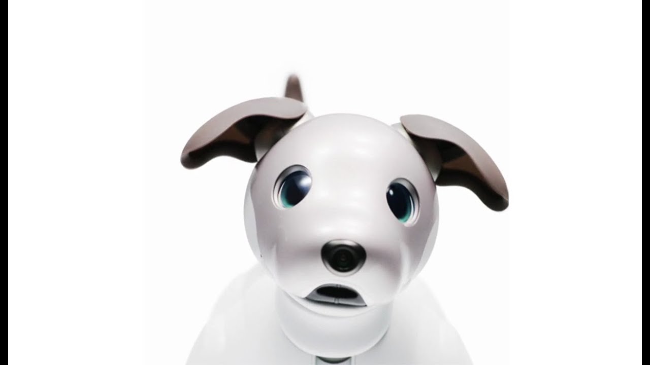 AIBO ロボット犬 グレー/ホワイト AIBO ロボット犬 グレー/ホワイト