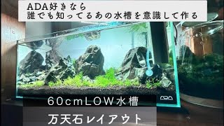 アクアリウム】ADA60センチ水槽立ち上げ 万天石水槽レイアウト