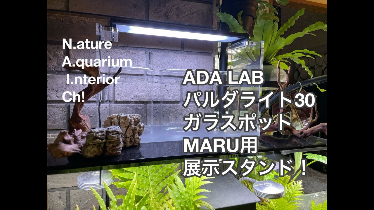 ADAガラスポッドmaru展示スタンドセットとパルダライト60
