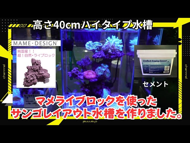 珊瑚礁 レイアウト 約35×45 珊瑚礁 レイアウト 約35×45 写真で紹介