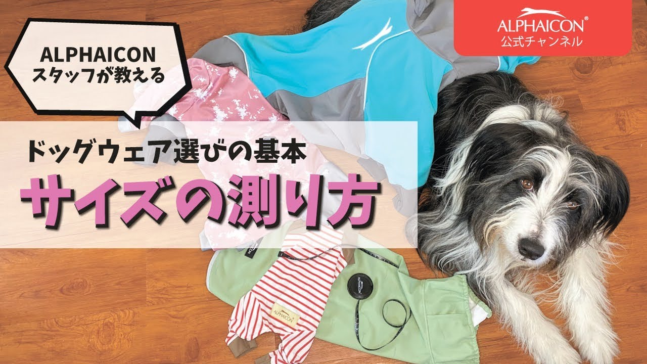犬服]サイズの測り方[ALPHAICON]ドッグウェア選びの基本 - YouTube