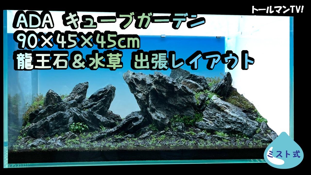 ADA 龍王石 水槽用石 ADA LAYOUT MATERIAL 「石」 | AQUA DESIGN AMANO