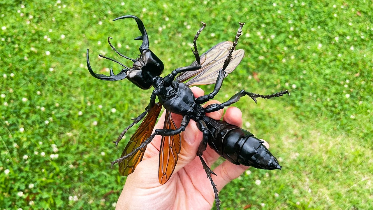 これが幻のハチ『メガララ・ガルーダ』 - YouTube