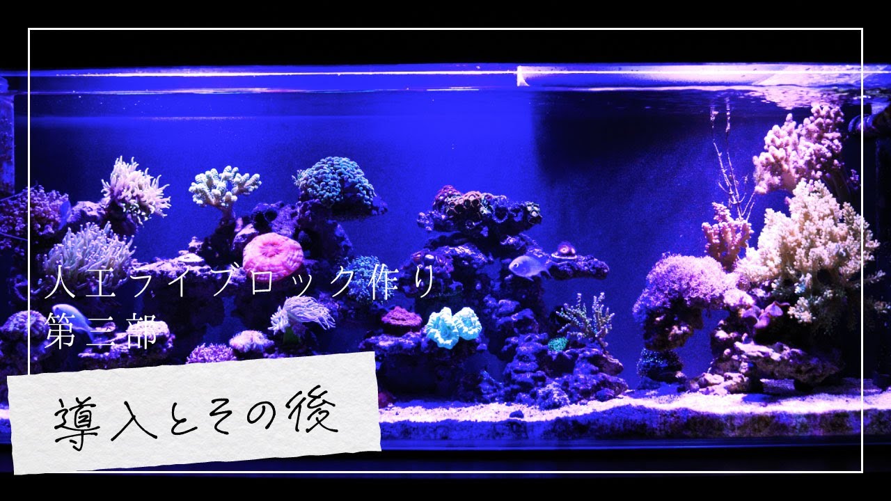 人工ライブロック RR72 アク抜き済み安心塗料使用 人工ライブロック