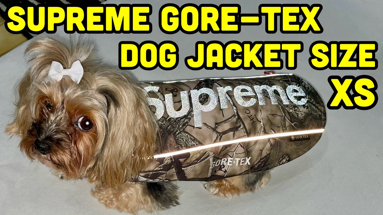 SUPREME GORE-TEX DOG JACKET SIZE XS UNBOXING AND TRY ON BODY +