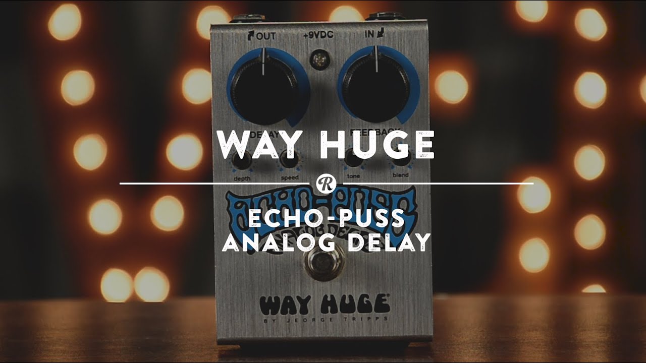 Way Huge Echo-Puss Analog Delay | Reverb Demo Video - YouTube