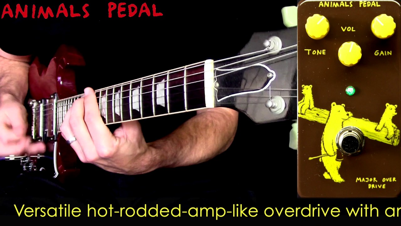 Animals Pedal Major Overdrive - YouTube