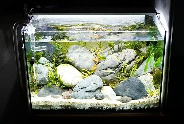 引き取り限定 ADA45㎝ 陰性水草水槽フルセット 引き取り限定 】45㎝ADA