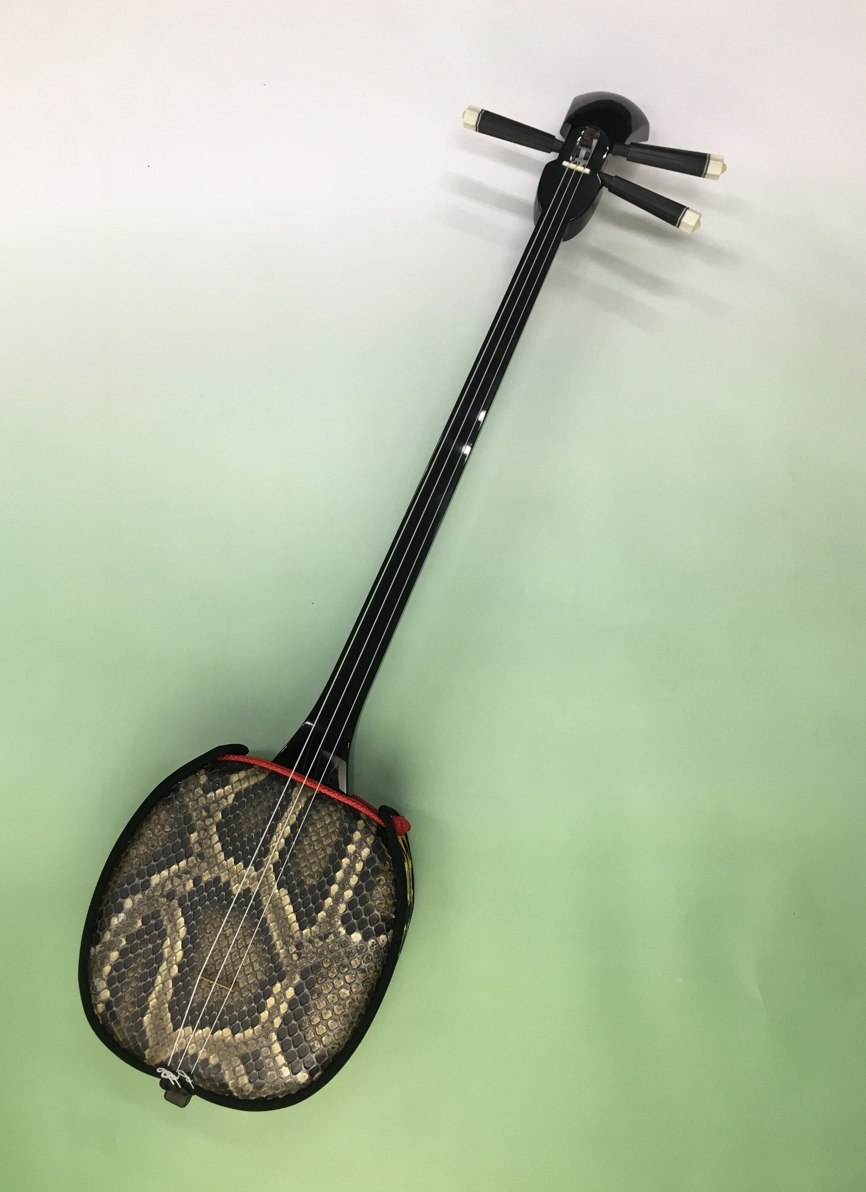 三線 本体 蛇皮模様 三線本体 蛇皮模様 3弦 人工革 沖縄 石垣