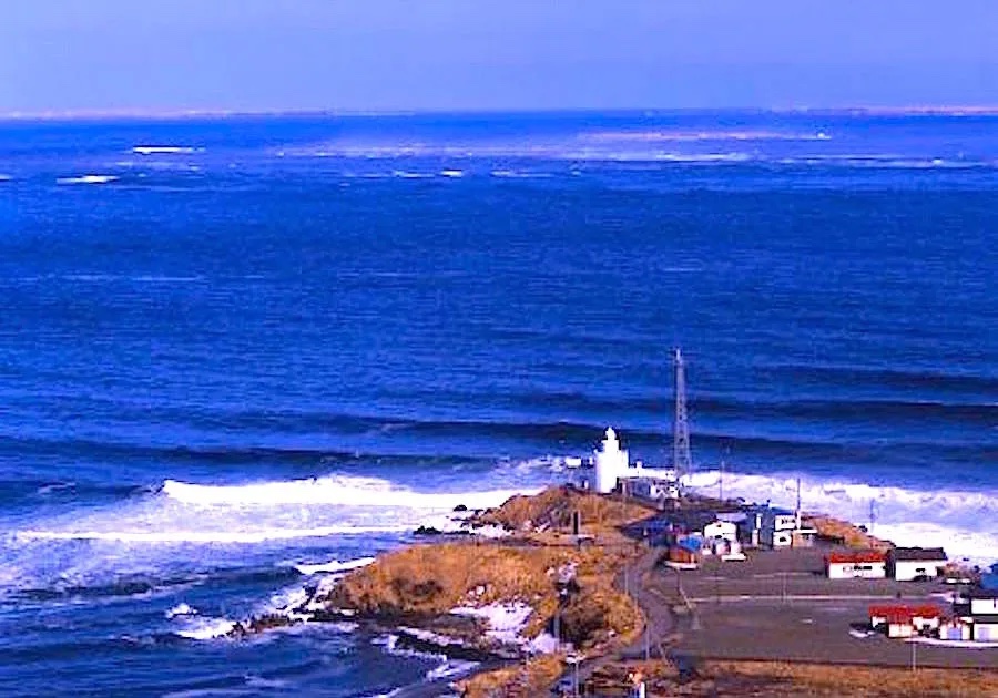 ノサップ岬 油絵 P8（455×333mm） 納沙布 岬 ノサップ岬 油絵 P8（455