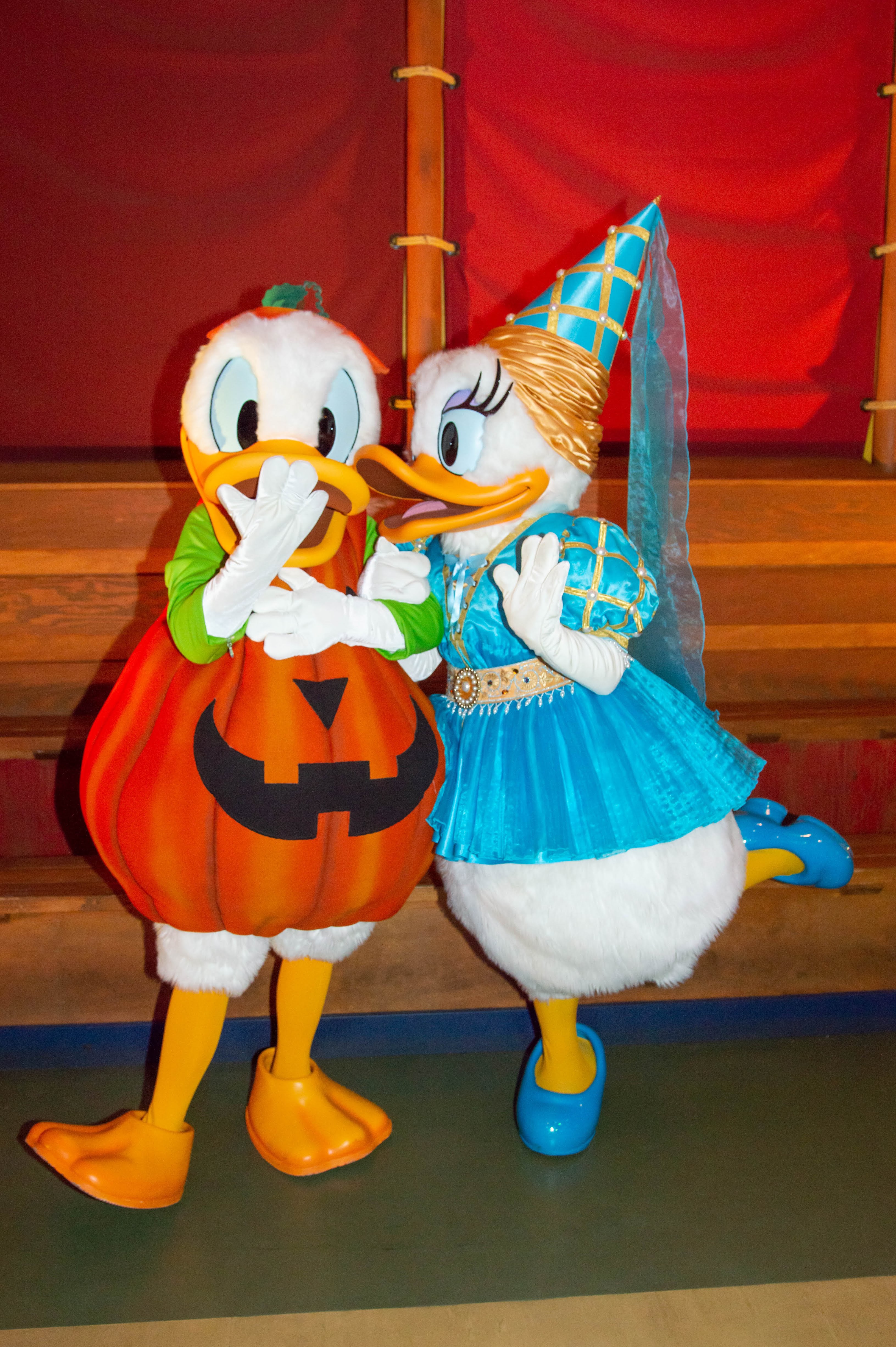 dsc_0765_original.jpg?resize=