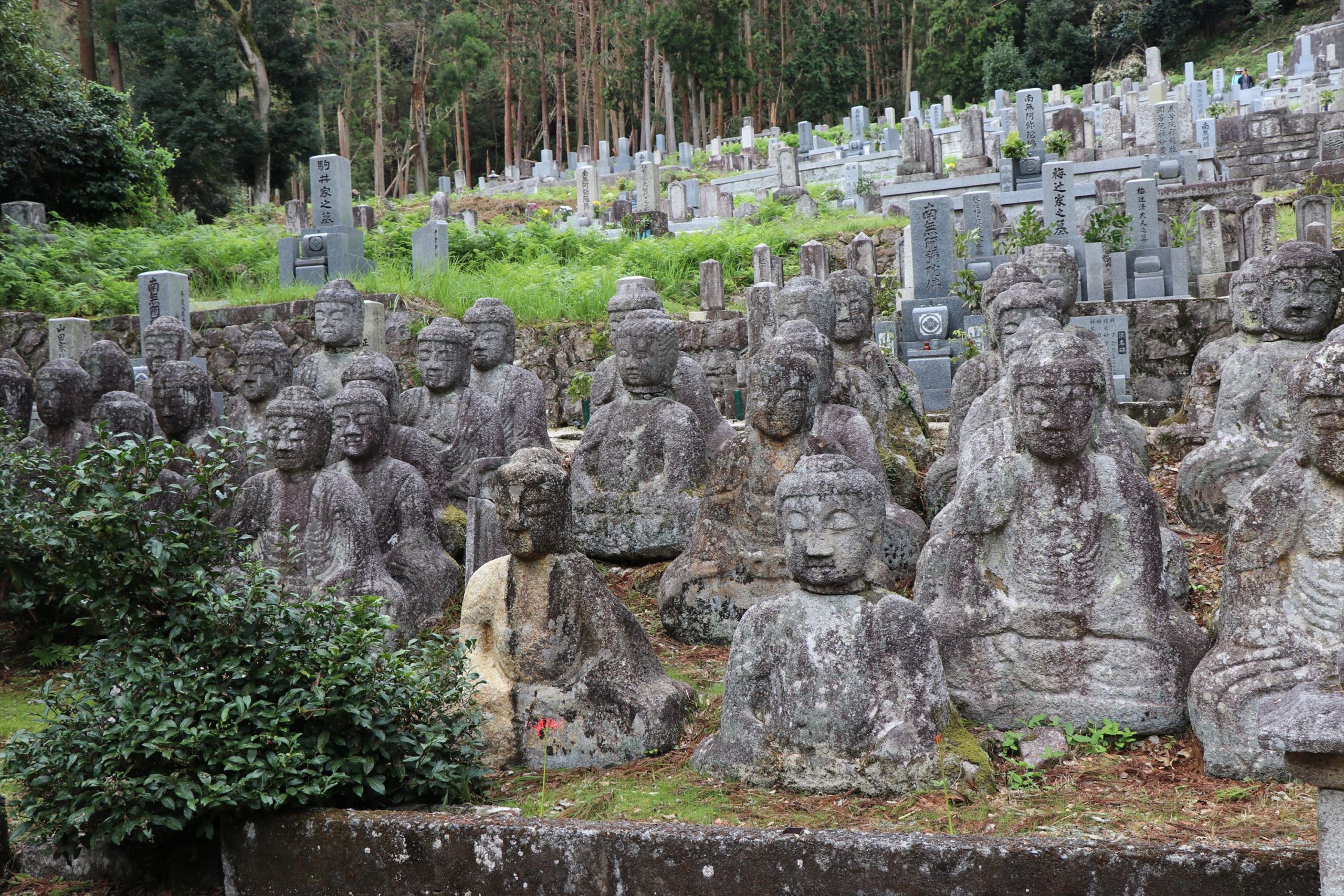 今日の石仏 鵜川四十八体石仏群 – 「史迹と美術」愛好会