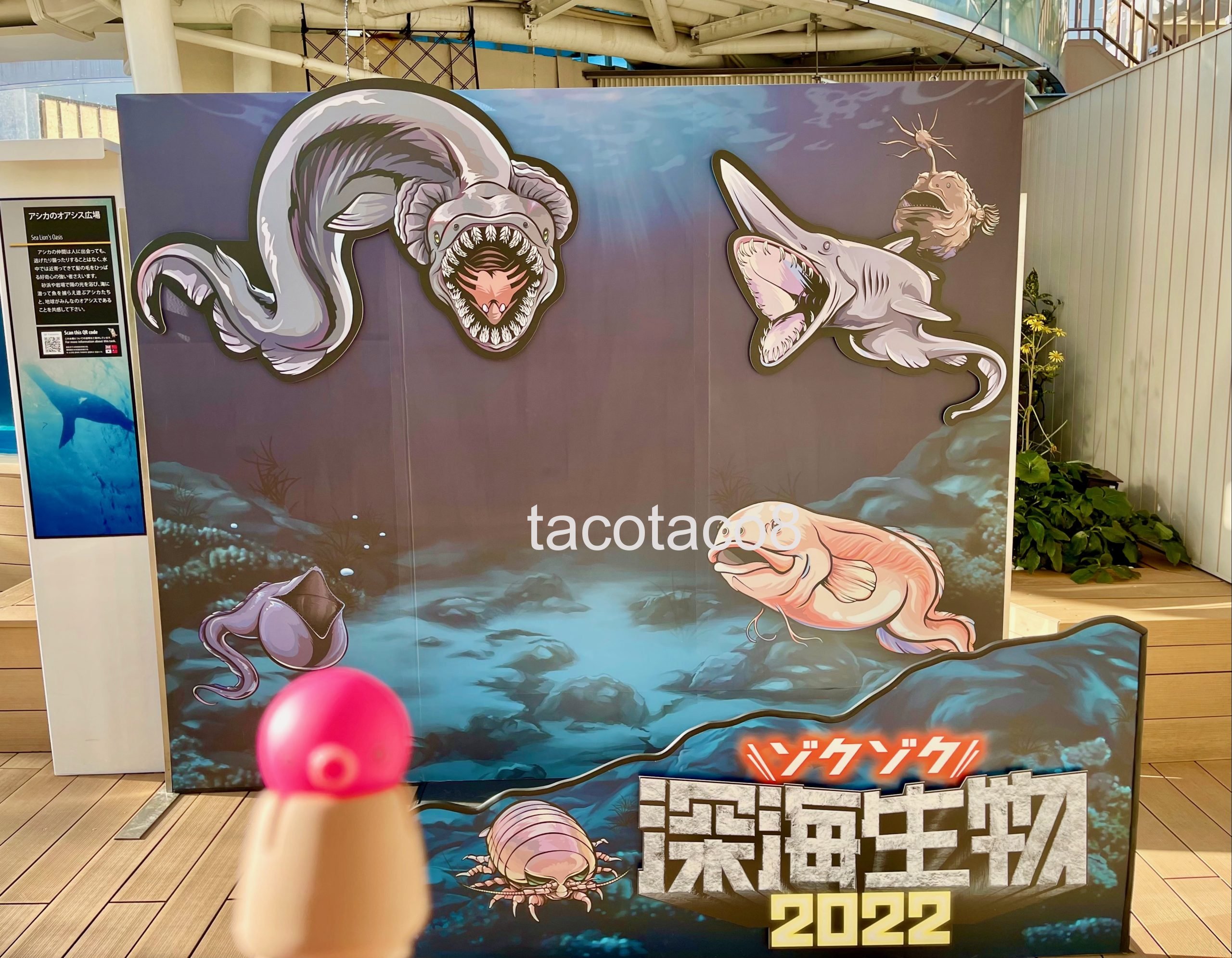 希少 深海松 青珊瑚 風鎮 本日は #バレンタイン！ ／ 深海イベント開催