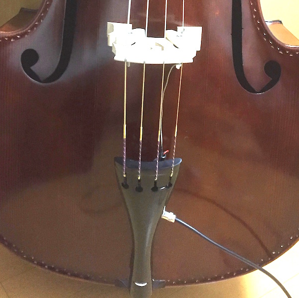 ウッドベースにコントラバス ソロ弦を張ってみました。 | Yuary Guitars