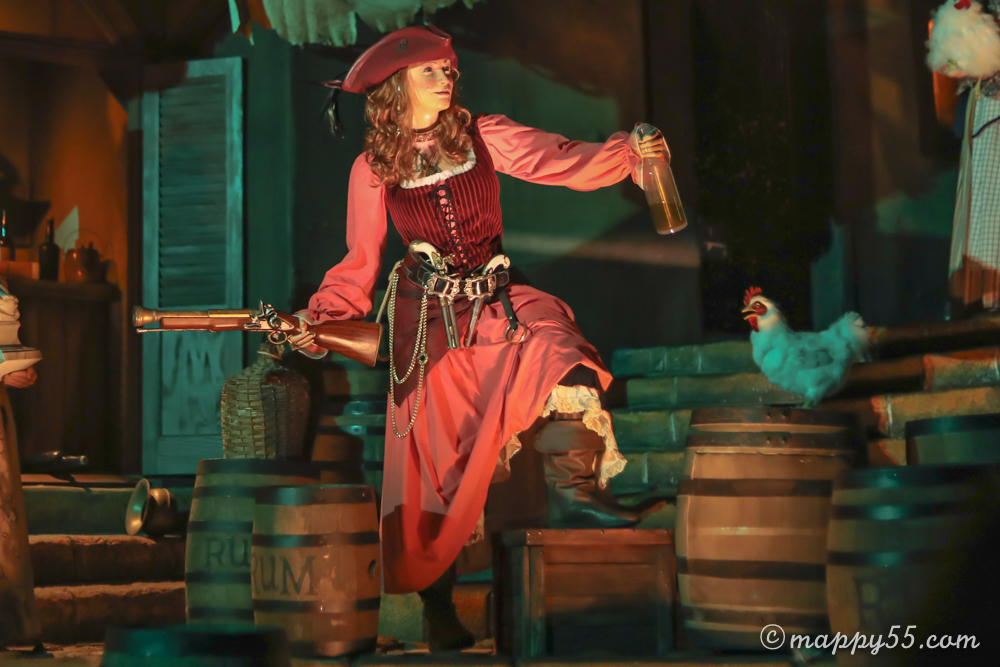 新しくなった！ディズニーランドのアトラクション、パイレーツ・オブ