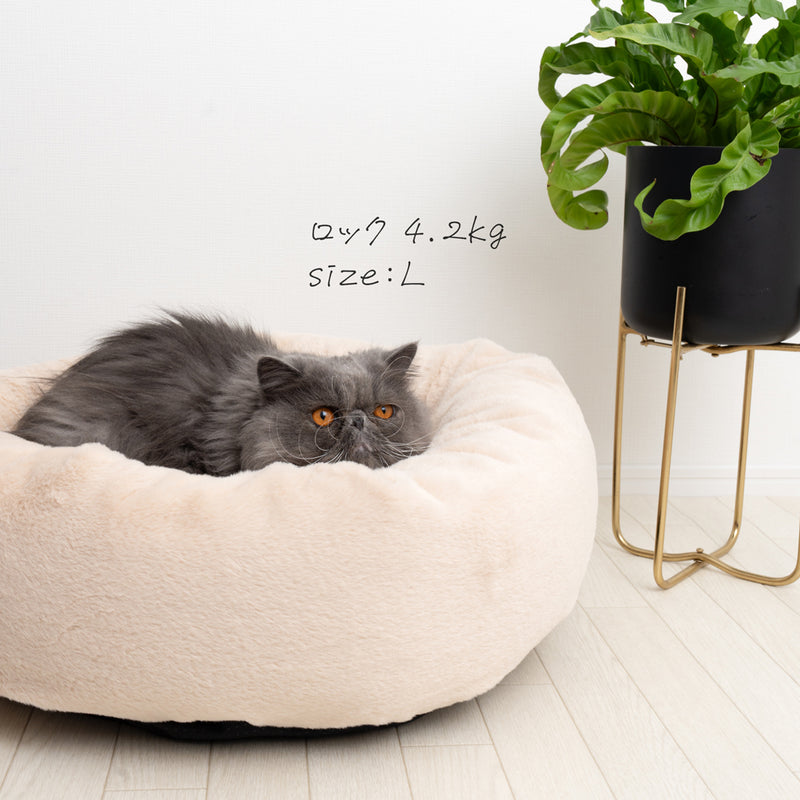 カバーのみ】プレミアムマシュマロクッションベッド ショート