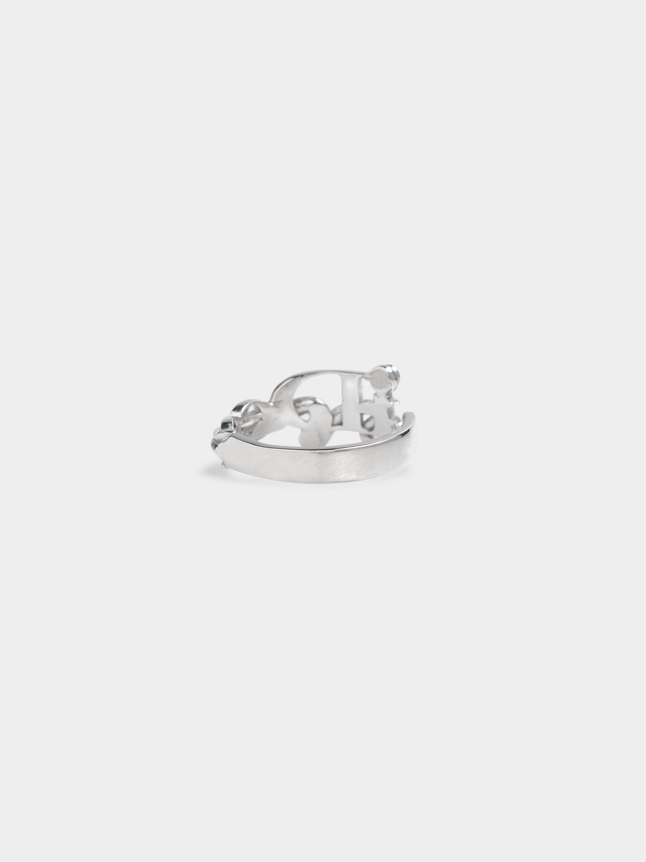 OUROBOROS RING - Silver 925 – IDEASWAM