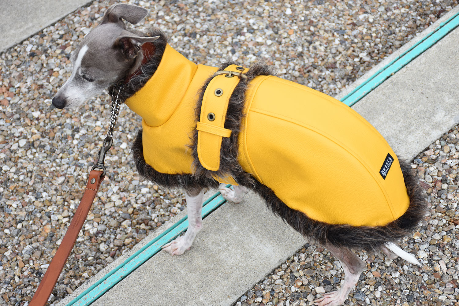 か*ち様 イタグレ用コート ig WORKS ハーネスでも着用可 Sサイズ か*ち