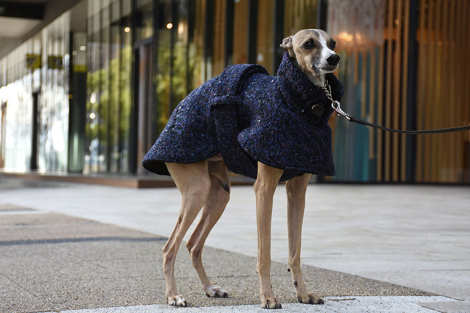 イタグレ服◇IG WORKS（アイジー・ワークス）◇