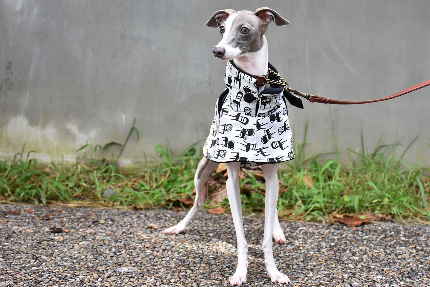 イタグレ服◇IG WORKS（アイ・ジー・ワークス）◇