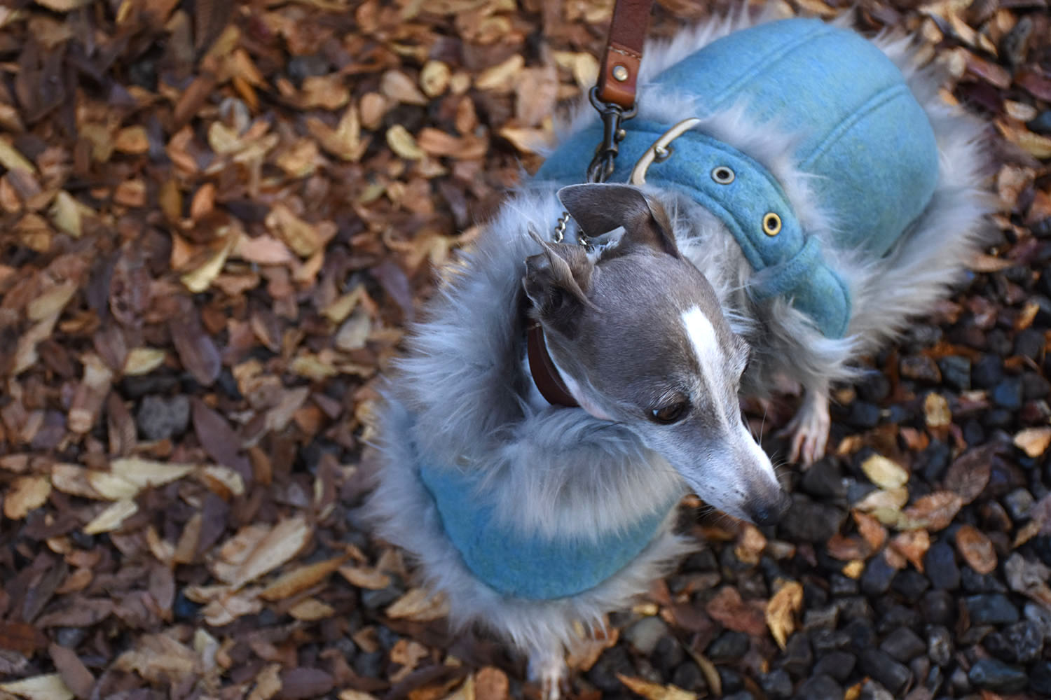 イタグレ服◇IG WORKS（アイ・ジー・ワークス）◇