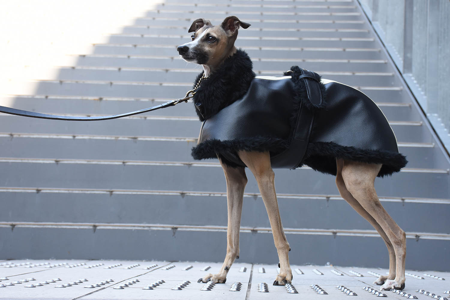 イタグレ服◇IG WORKS（アイ・ジー・ワークス）◇