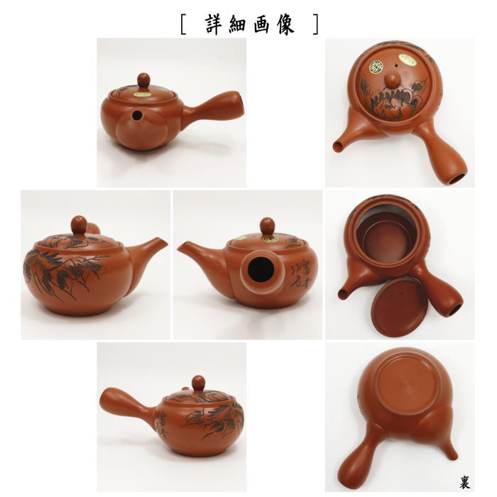 急須】 常滑焼き（とこなめ焼き） 朱泥 牡丹 帯網（帯アミ） 約540ml