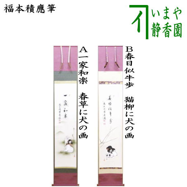 K茶道具 掛軸「蛙 僧正の榎の木の迹に泣く蛙」 也有画
