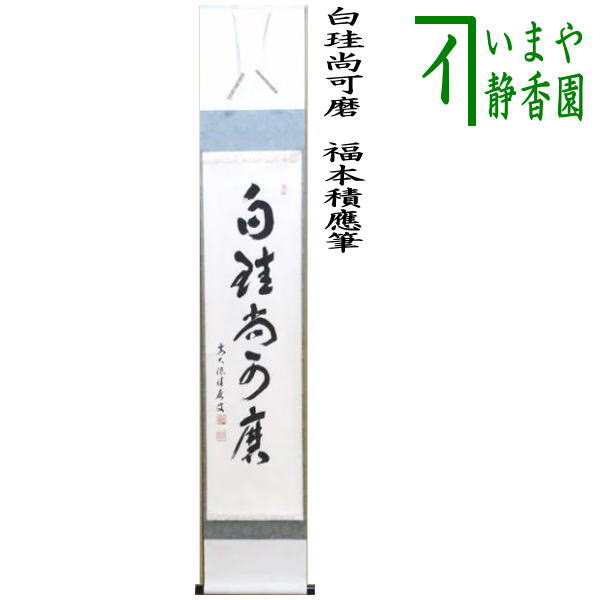 佐藤朴道 茶掛軸 柳緑花紅 竹林桜の図 画賛 茶道具 佐藤朴道