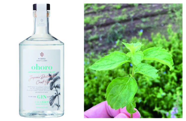 ニセコ町産のボタニカル「ニホンハッカ」をつかった限定クラフトジンが