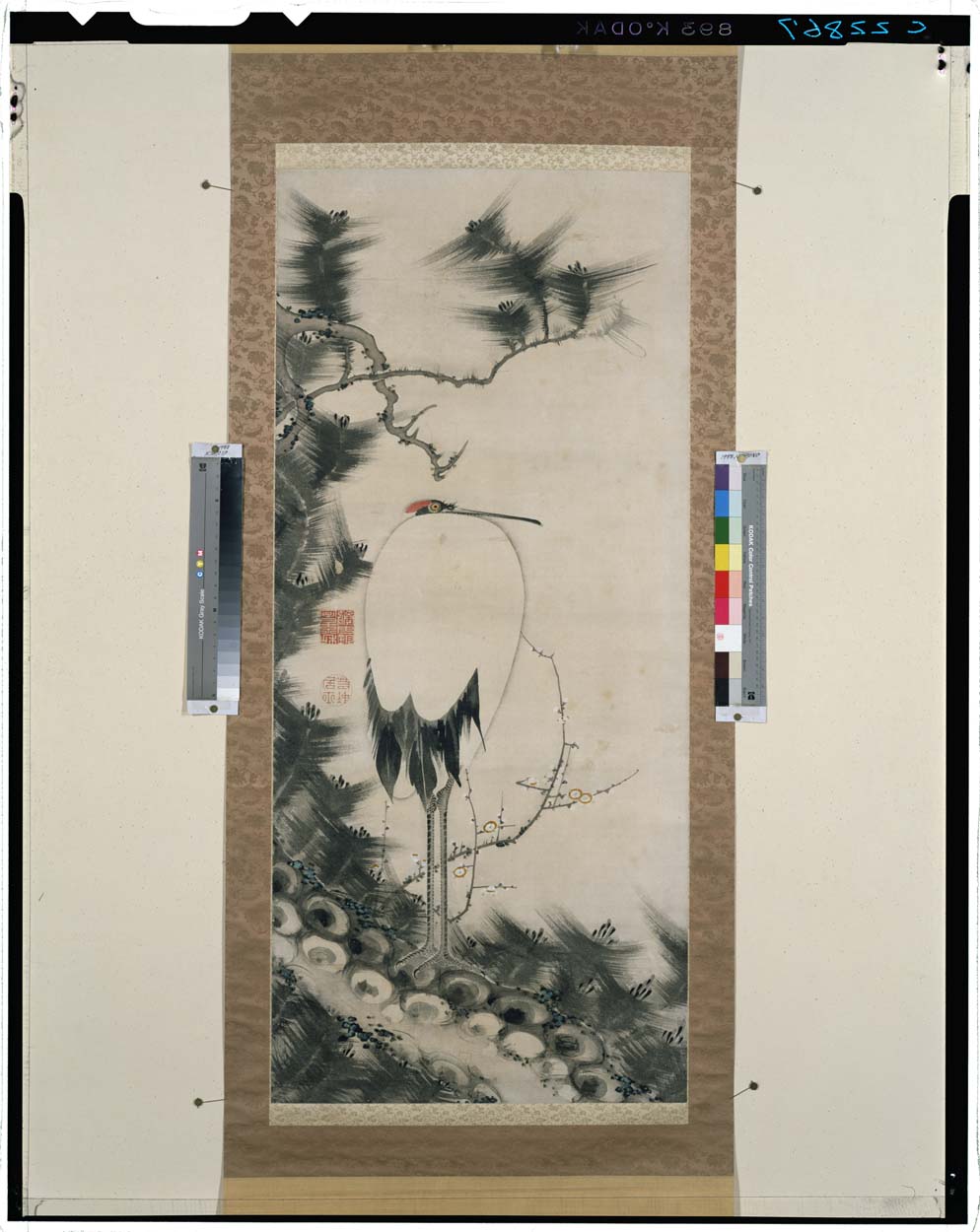 掛軸 伊藤若冲筆 水墨画 鶴図 紙本 二重箱 G R7656B 【公式通販】