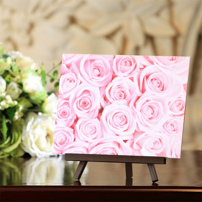 ピンクローズ ピンクローズ ディオ ZX ピンク