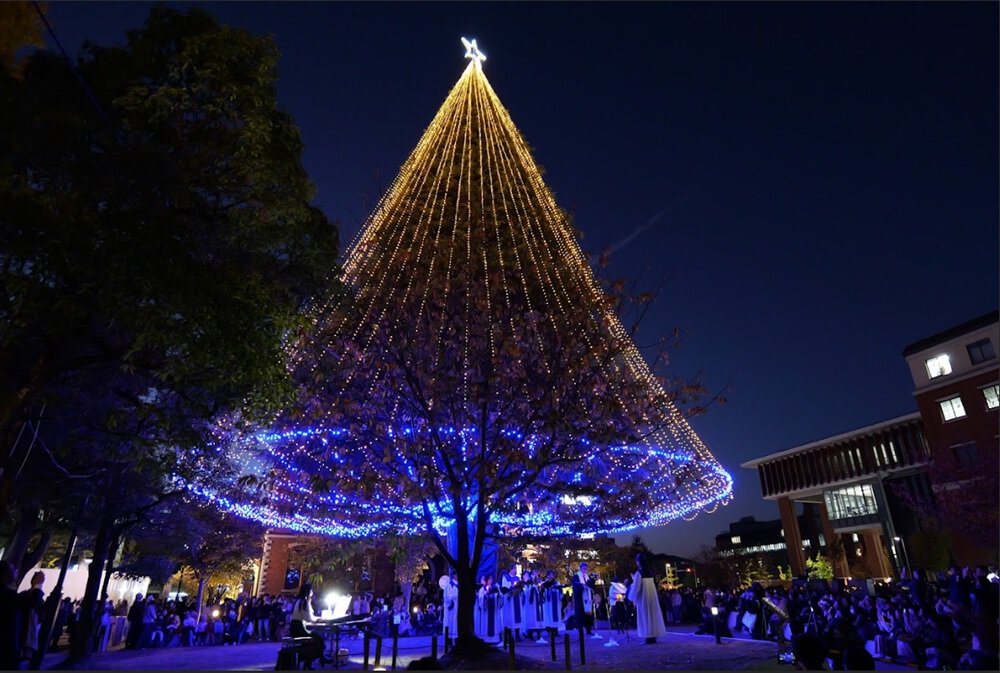 同志社大学(今出川校地) クリスマス・イルミネーション (京都市上京区