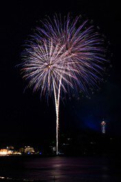 マイアミビーチショー