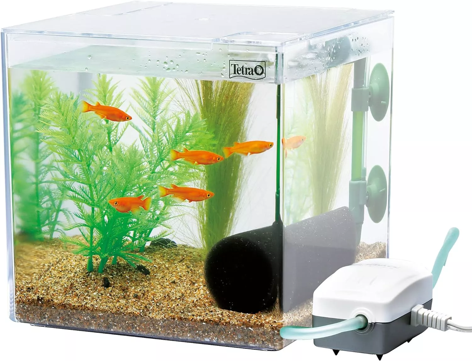 最新】水槽用外部フィルターのおすすめ12選｜60センチ水槽向け・小型も