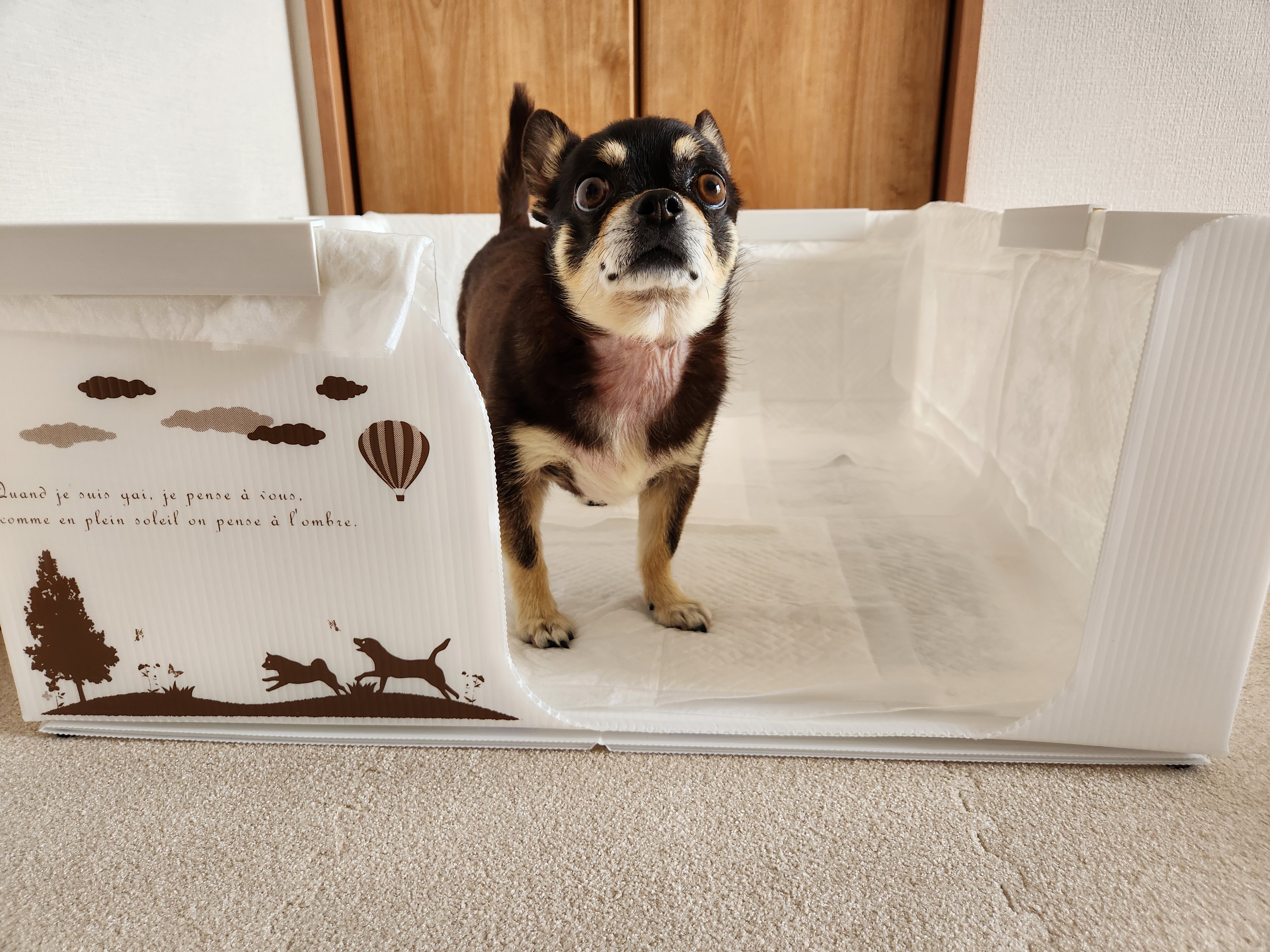 ペットアクリルトイレ ICHIGOtype ワイドサイズ ペットアクリルトイレ