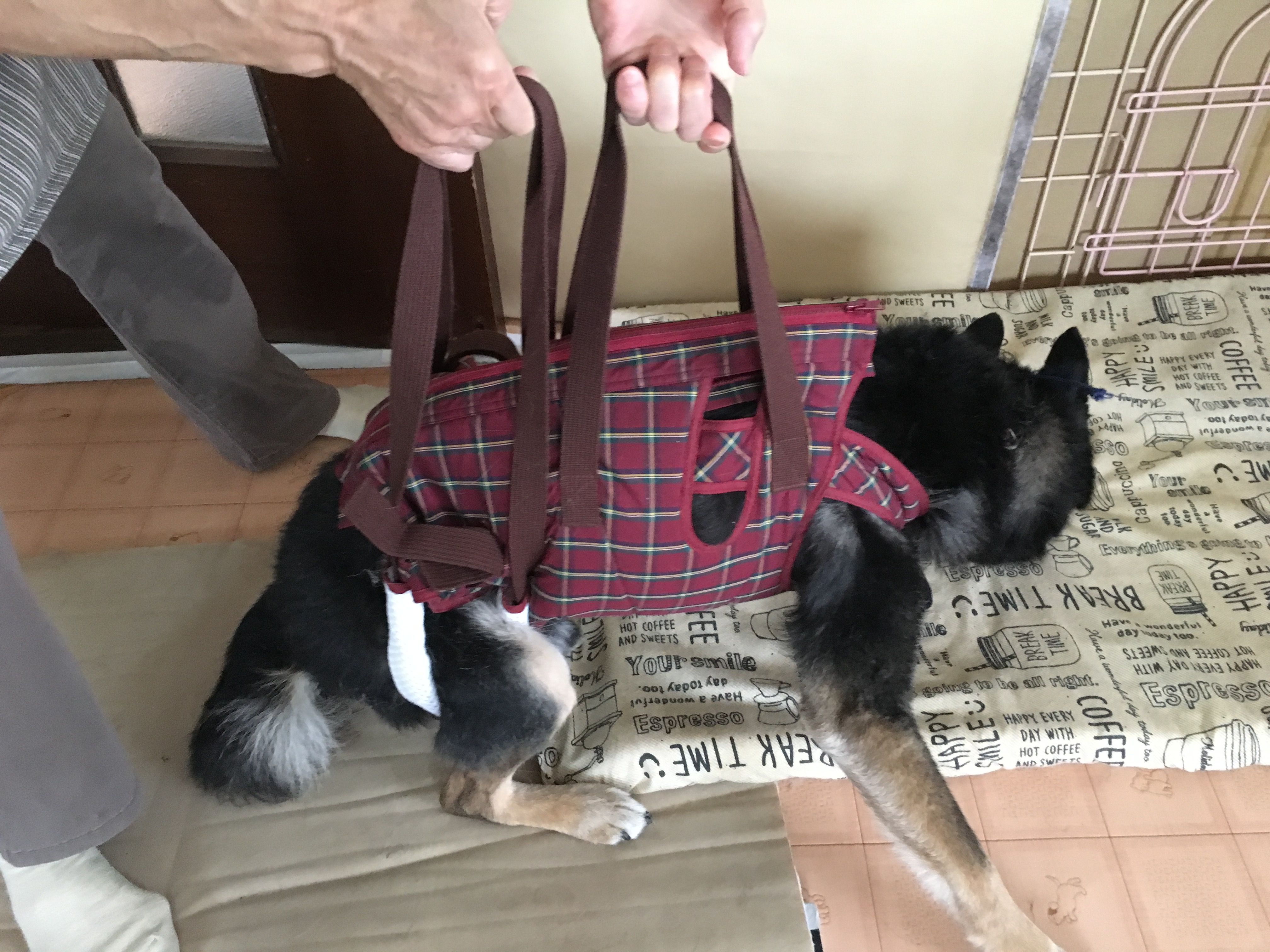 口コミ・レビュー｜アシスタントバンドリフト(歩行補助ハーネス