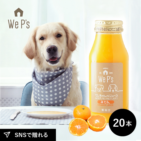 ヨッちゃん様専用】みかんジュース500ml×12本×2箱 【2箱括りでの