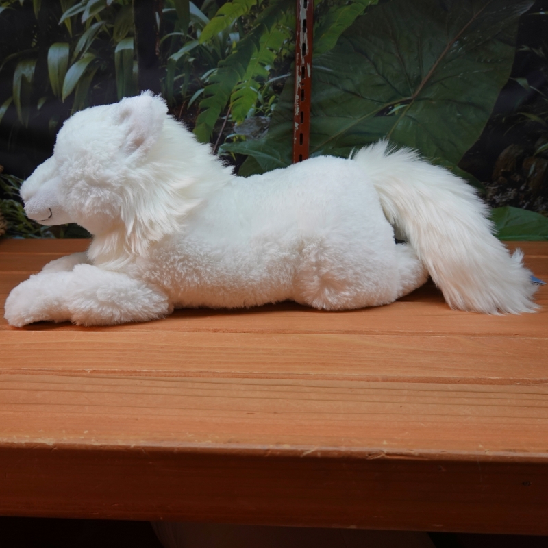 サンレモン【公式】 on X: ひざおおかみ ホッキョクオオカミ那須