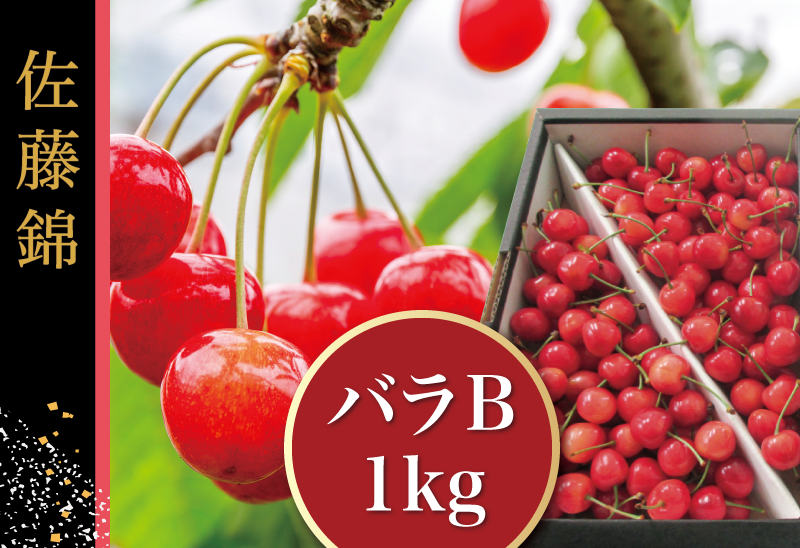 山形さくらんぼ通販】佐藤錦Lサイズアップ1kバラ｜送料無料オンライン